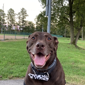 Fundraising Page: Naomi Girke